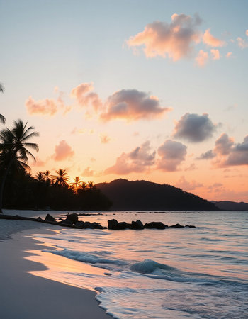 Tropical beach with palm trees at sunset, Seychellesの写真素材