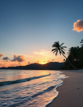Tropical beach with palm trees at sunset in Seychellesの写真素材
