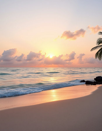 Tropical beach with palm trees at sunset, Seychellesの写真素材