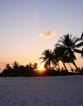 Beautiful tropical beach with coconut palm tree at sunset. Nature background
