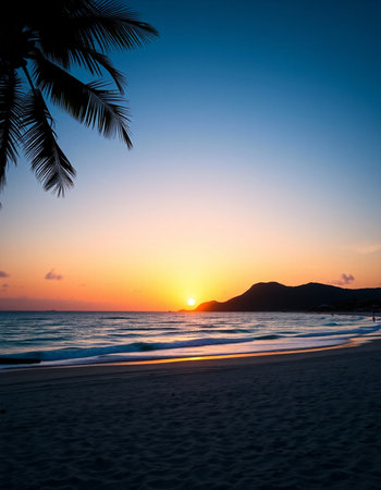 Beautiful tropical beach and sea with coconut palm tree at sunset time - Holiday Vacation conceptの写真素材
