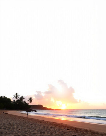 Beautiful sunset on the beach.の写真素材