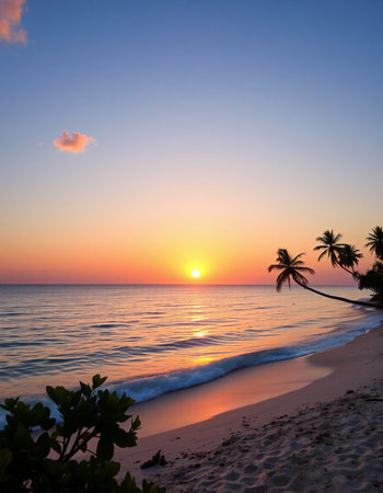 Beautiful sunset on the beach with palm trees and sea in background