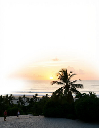 Silhouette of palm trees on the beach at sunset time.の写真素材