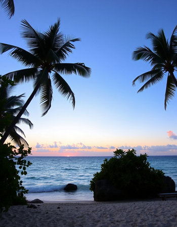 Tropical beach with palm trees at sunset, Seychellesの写真素材