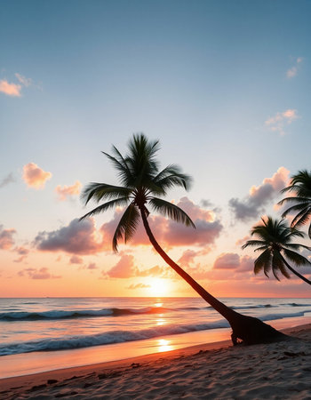 Coconut palm tree on the beach at sunset. Nature background
