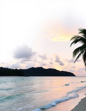 Tropical beach with palm trees at sunset. Koh Samui, Thailandの写真素材