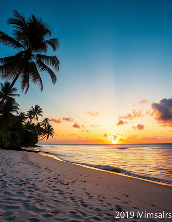 Beautiful sunset on the tropical beach and sea with coconut palm tree