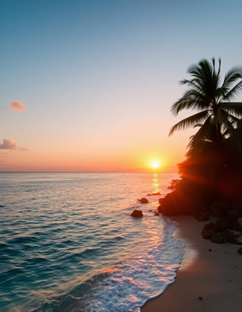 Sunset on the beach in the tropics with palm trees.の写真素材