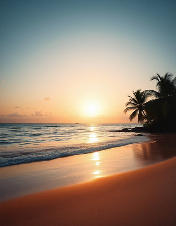 Tropical beach with palm trees at sunset. Nature background.