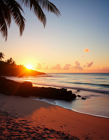 Tropical beach with palm trees at sunset, Seychellesの写真素材