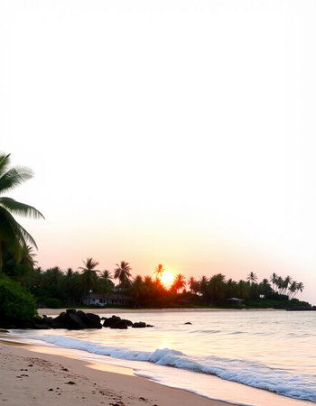 Beautiful tropical beach with coconut palm trees at sunset. Nature background.の写真素材