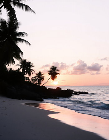 Beautiful sunset on a tropical beach in the tropics. Coconut palm trees on the sand.