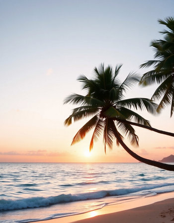 Tropical beach with coconut palm trees at sunset, Seychellesの写真素材