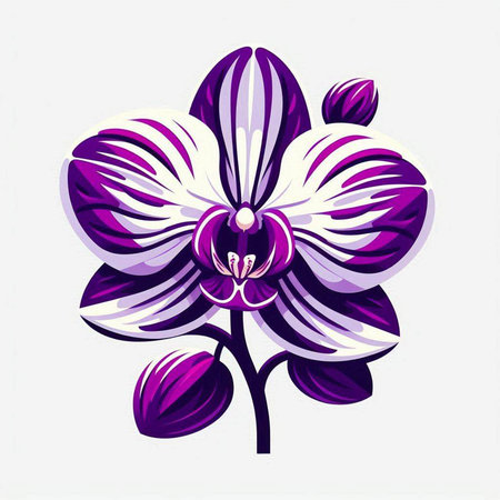 Orchid flower. Vector illustration of a purple orchid flower.のイラスト素材