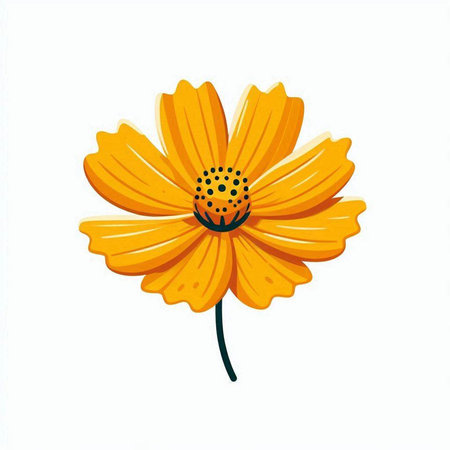 Yellow flower on a white background. Isolated. Vector illustration.のイラスト素材