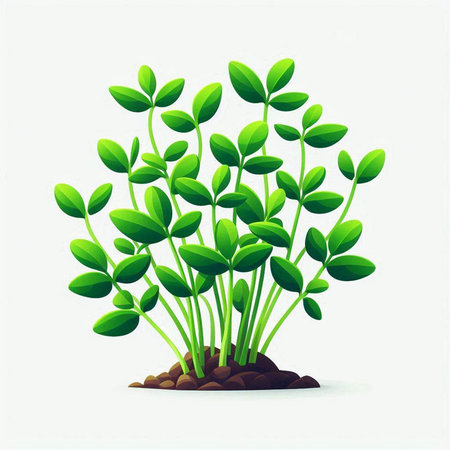 Green seedlings isolated on white background. Vector illustration. Eps 10.のイラスト素材