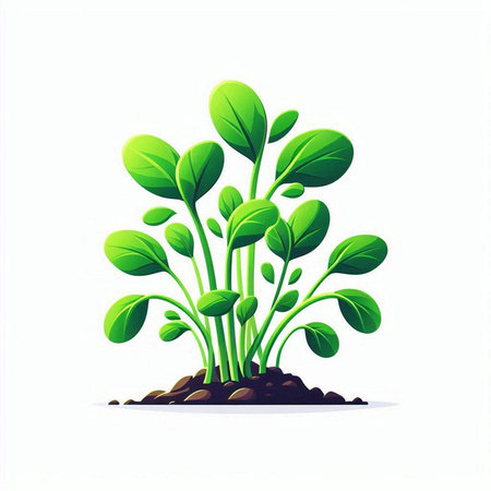Green sprouts growing in soil isolated on white background. Vector illustration.のイラスト素材