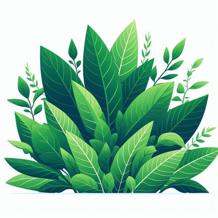 Green leaves with branches and leaves. Vector illustration on white background.のイラスト素材