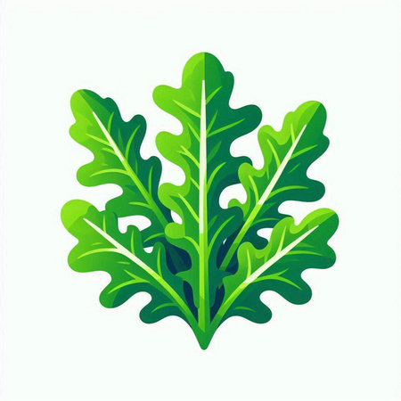 Green arugula leaves isolated on white background. Vector illustration.のイラスト素材