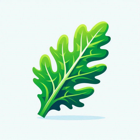 Fresh green arugula leaf isolated on white background. Vector illustration.のイラスト素材