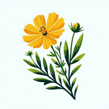 Cosmos flowers isolated on white background. Hand drawn vector illustration.のイラスト素材