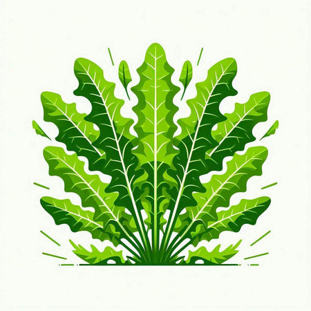 Vector illustration of a green leafy plant on a white background.のイラスト素材