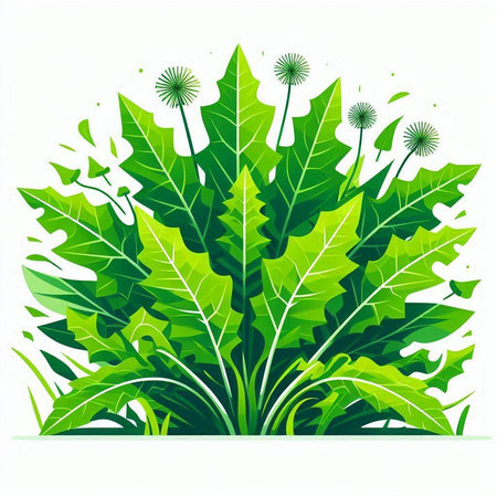 Green background with dandelions and green leaves. Vector illustration.のイラスト素材