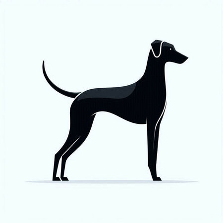 Vector image of a silhouette of a dog on a white background.のイラスト素材