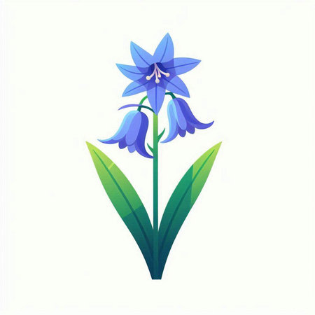 Bluebell flower on a white background. Vector illustration in flat style.のイラスト素材