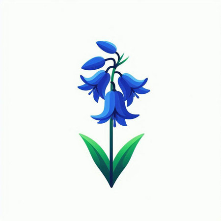 Bluebell flower isolated on a white background. Vector illustration for your designのイラスト素材