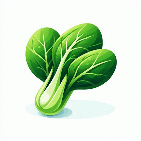 Bok choy fresh vegetable vector illustration isolated on white background.のイラスト素材