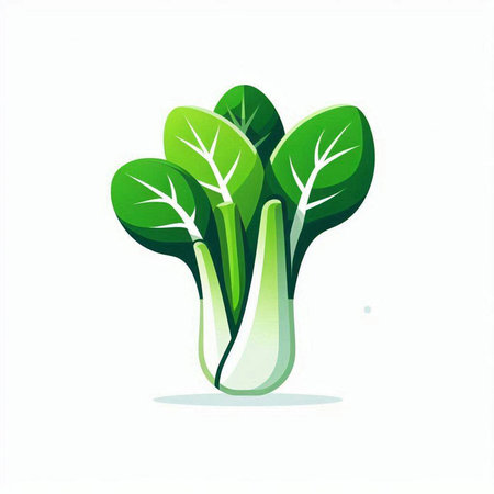 Bok choy vector illustration. Vegetable icon. Isolated on white background.のイラスト素材
