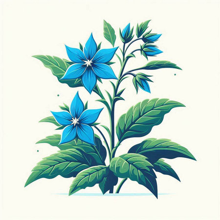 Illustration of blue flowers on a white background. Vector illustration.のイラスト素材
