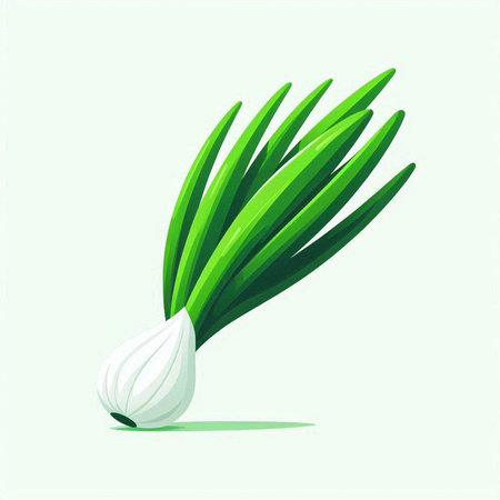 Illustration of fresh green onion on white background. Vector illustration.のイラスト素材
