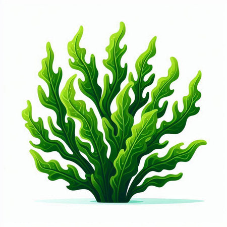 Illustration of a green seaweed isolated on a white background.のイラスト素材