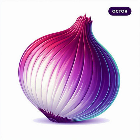 Illustration of onion on a white background. Vector illustration. Eps 10のイラスト素材