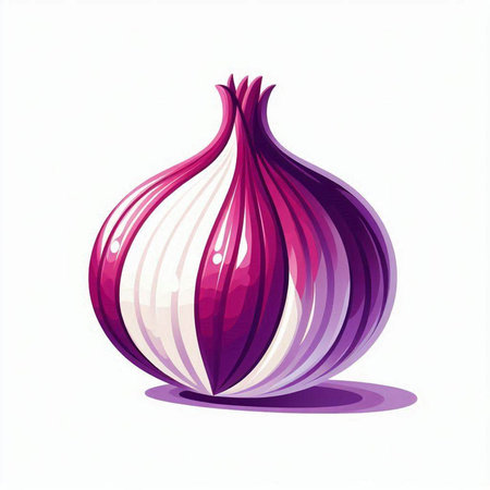 Illustration of purple onion on a white background. Vector illustration.のイラスト素材
