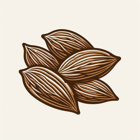 Cardamom seeds in engraving style. Vector illustration.のイラスト素材