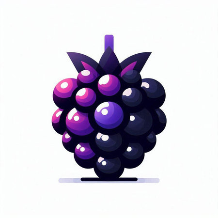 Vector illustration of blackberry. Isolated on a white background.の写真素材