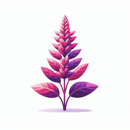 Illustration of a pink and purple plant isolated on a white backgroundの写真素材