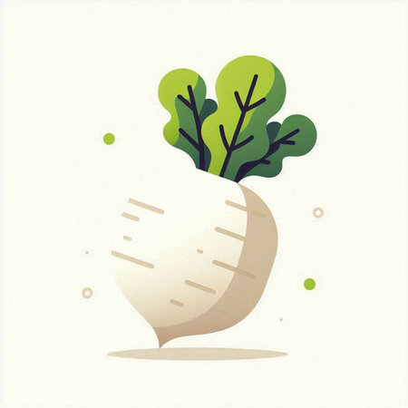 Radish with green leaves on a white background. Vector illustration.