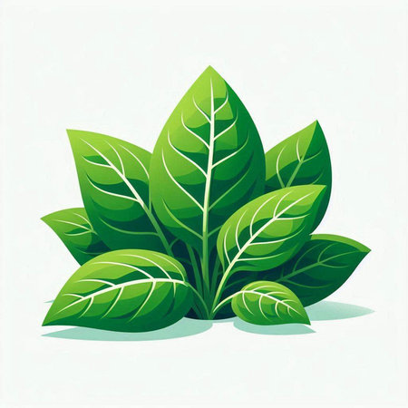 Green leaves on a white background. Vector illustration. Eps 10.