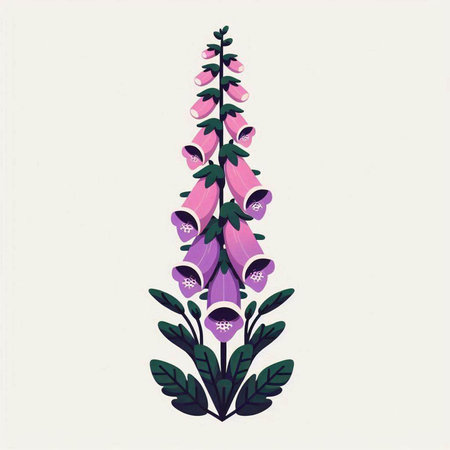 Illustration of digital foxglove. Hand drawn vector illustration.の写真素材