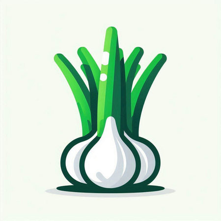 Garlic vector illustration. Isolated on white background. Flat style.