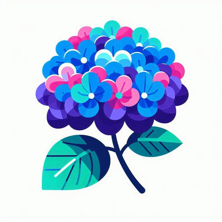 Colorful hydrangea on white background. Vector illustration.