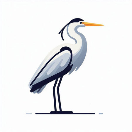 Vector illustration of a gray heron on a white background. Side view.の写真素材