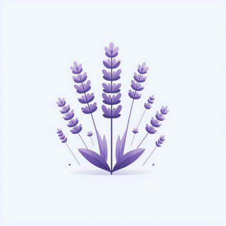 Lavender flowers on a white background. Vector Illustration.の写真素材