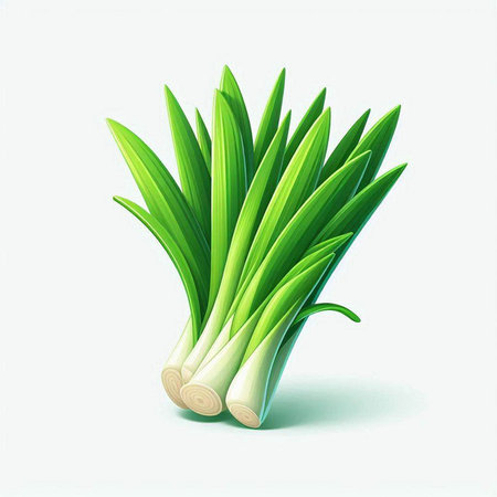 Fresh leek isolated on white background. Vector illustration for your design