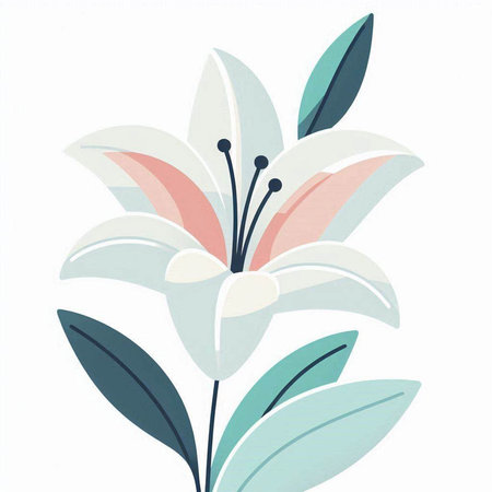 Lily flower on white background. Hand drawn vector illustration in watercolor style.の写真素材